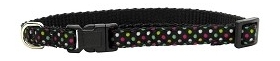 Colurfull Multi Dot Puppy Collar