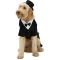 dog tuxedo