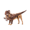 Animal Planet Raptor Dog Costume