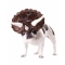 Animal_Planet™_Triceratops_Dog_Costume