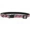 Brighton Stripe Dog Collar