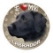 black labrador magnet